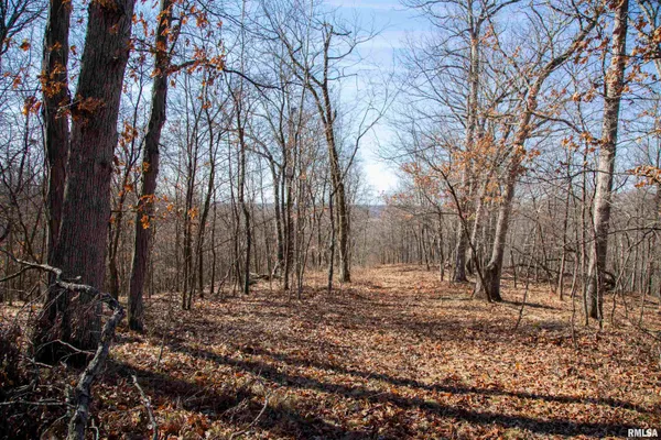 $895,000 | 17217 North Dairy Farm Road, Smithfield, IL 61477