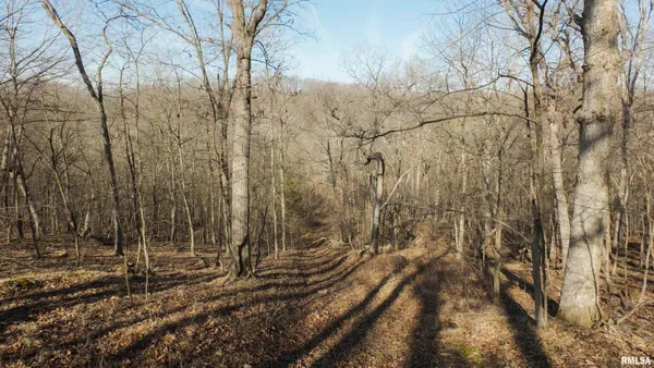 $895,000 | 17217 North Dairy Farm Road, Smithfield, IL 61477