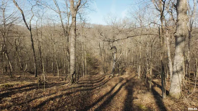 $895,000 | 17217 North Dairy Farm Road, Smithfield, IL 61477