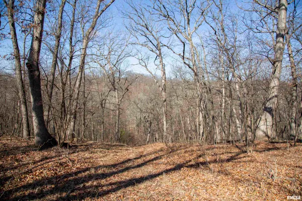 $895,000 | 17217 North Dairy Farm Road, Smithfield, IL 61477