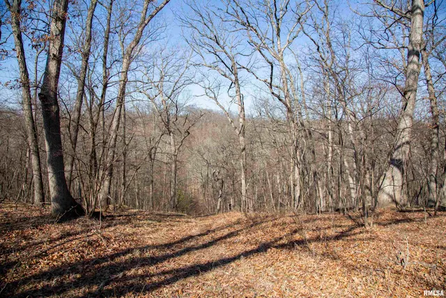 $895,000 | 17217 North Dairy Farm Road, Smithfield, IL 61477