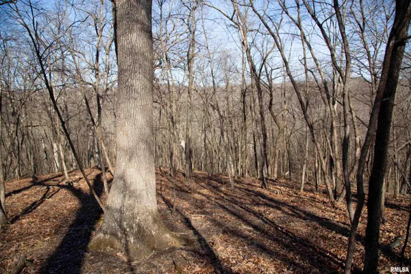 $895,000 | 17217 North Dairy Farm Road, Smithfield, IL 61477