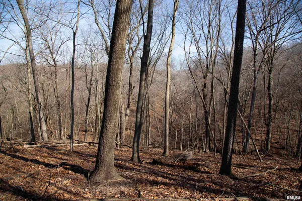 $895,000 | 17217 North Dairy Farm Road, Smithfield, IL 61477