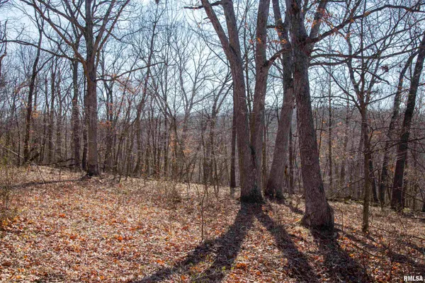 $895,000 | 17217 North Dairy Farm Road, Smithfield, IL 61477