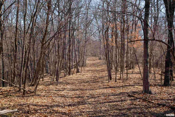 $895,000 | 17217 North Dairy Farm Road, Smithfield, IL 61477