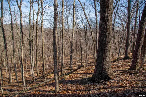 $895,000 | 17217 North Dairy Farm Road, Smithfield, IL 61477