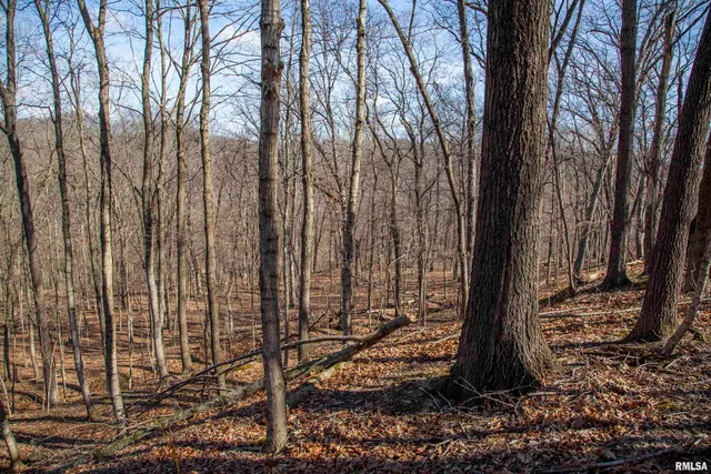 $895,000 | 17217 North Dairy Farm Road, Smithfield, IL 61477