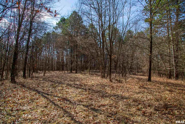 $895,000 | 17217 North Dairy Farm Road, Smithfield, IL 61477