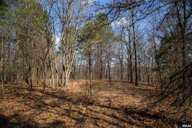 $895,000 | 17217 North Dairy Farm Road, Smithfield, IL 61477