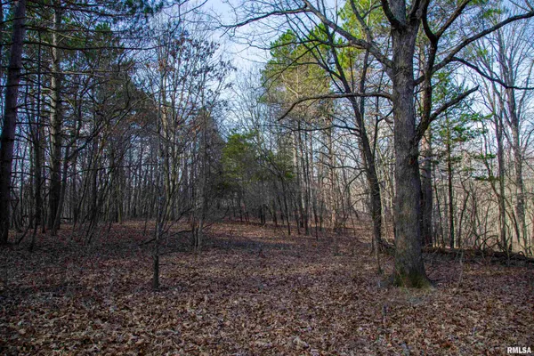 $895,000 | 17217 North Dairy Farm Road, Smithfield, IL 61477