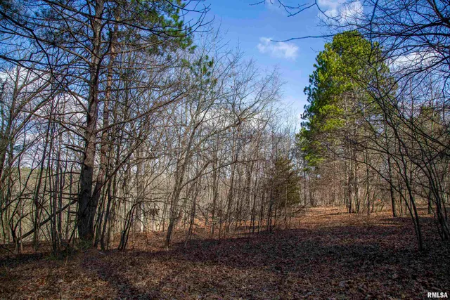 $895,000 | 17217 North Dairy Farm Road, Smithfield, IL 61477