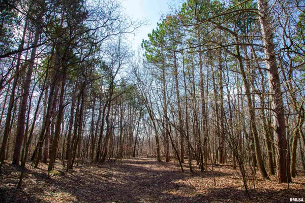 $895,000 | 17217 North Dairy Farm Road, Smithfield, IL 61477