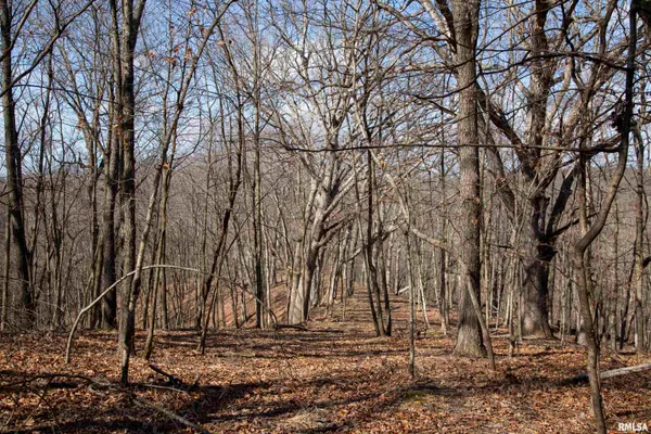 $895,000 | 17217 North Dairy Farm Road, Smithfield, IL 61477