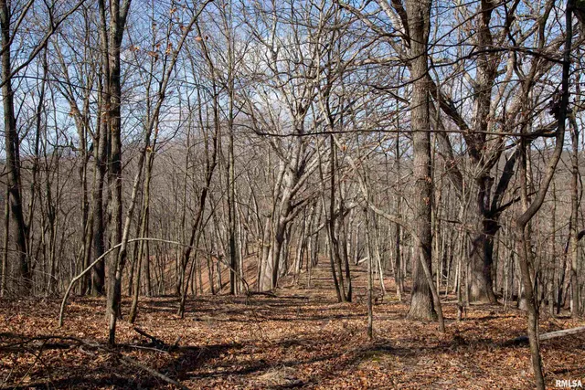 $895,000 | 17217 North Dairy Farm Road, Smithfield, IL 61477