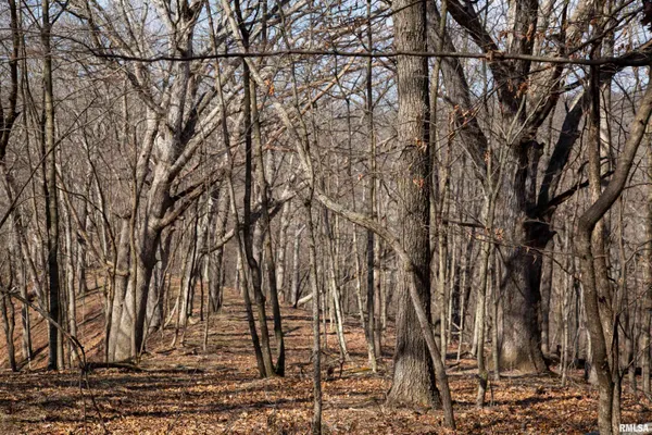 $895,000 | 17217 North Dairy Farm Road, Smithfield, IL 61477