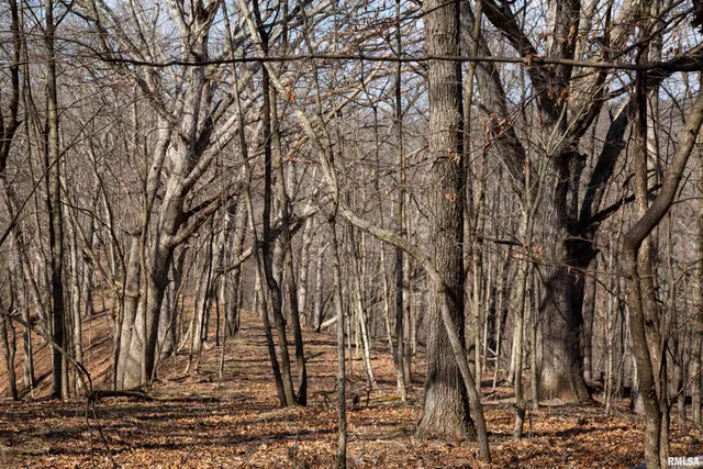 $895,000 | 17217 North Dairy Farm Road, Smithfield, IL 61477