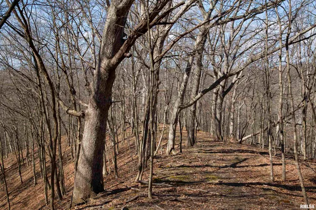 $895,000 | 17217 North Dairy Farm Road, Smithfield, IL 61477