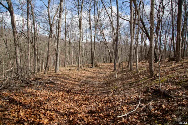$895,000 | 17217 North Dairy Farm Road, Smithfield, IL 61477