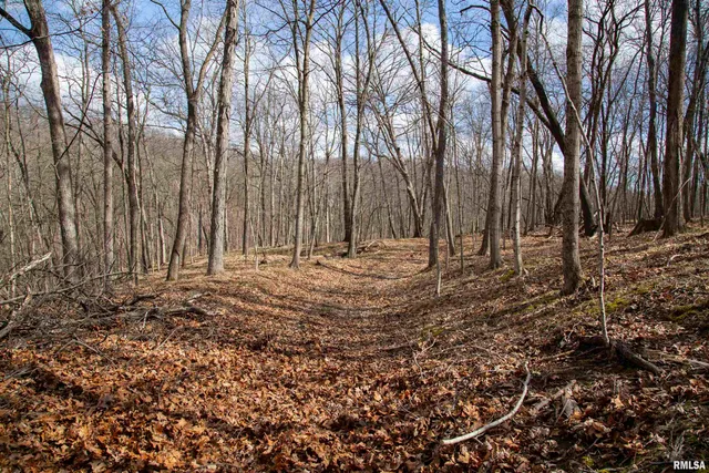 $895,000 | 17217 North Dairy Farm Road, Smithfield, IL 61477