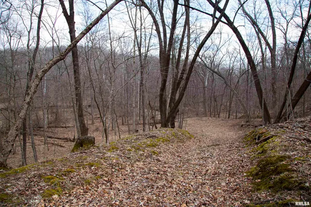 $895,000 | 17217 North Dairy Farm Road, Smithfield, IL 61477