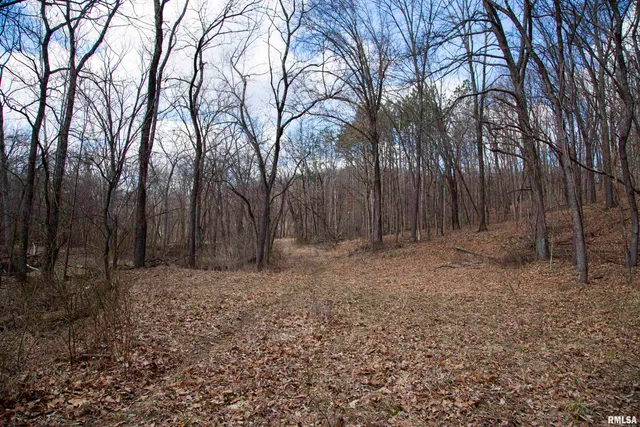 $895,000 | 17217 North Dairy Farm Road, Smithfield, IL 61477