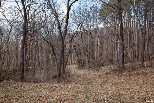 $895,000 | 17217 North Dairy Farm Road, Smithfield, IL 61477