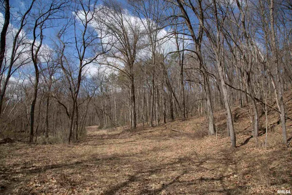 $895,000 | 17217 North Dairy Farm Road, Smithfield, IL 61477