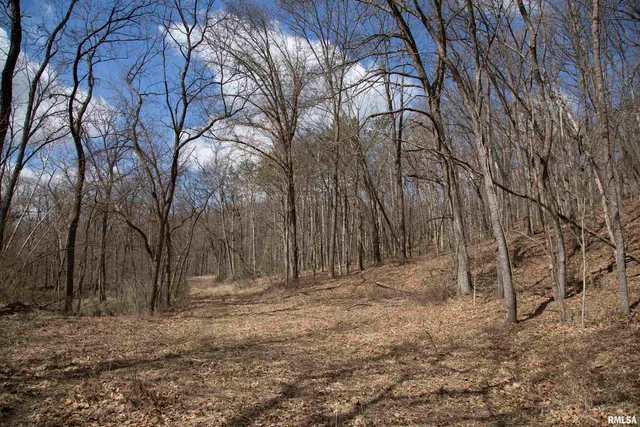 $895,000 | 17217 North Dairy Farm Road, Smithfield, IL 61477