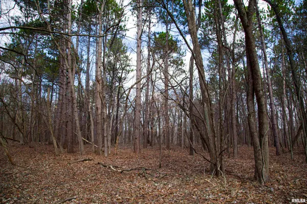 $895,000 | 17217 North Dairy Farm Road, Smithfield, IL 61477