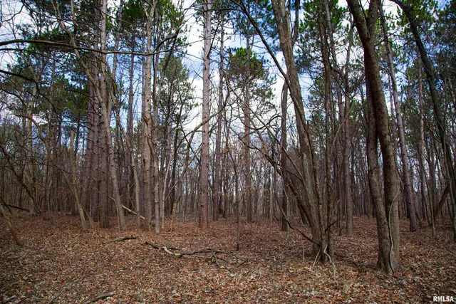 $895,000 | 17217 North Dairy Farm Road, Smithfield, IL 61477