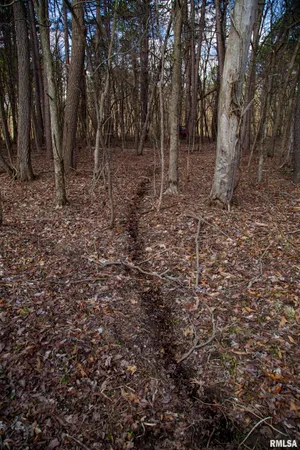 $895,000 | 17217 North Dairy Farm Road, Smithfield, IL 61477