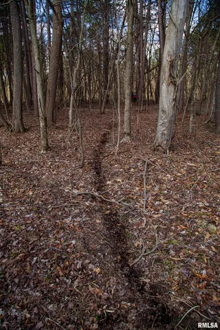 $895,000 | 17217 North Dairy Farm Road, Smithfield, IL 61477