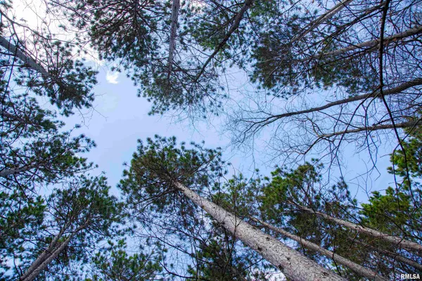 $895,000 | 17217 North Dairy Farm Road, Smithfield, IL 61477