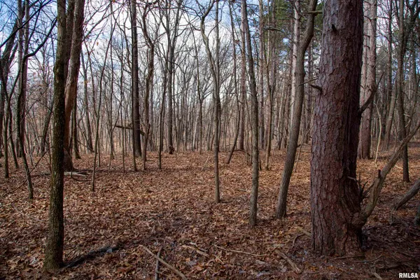 $895,000 | 17217 North Dairy Farm Road, Smithfield, IL 61477