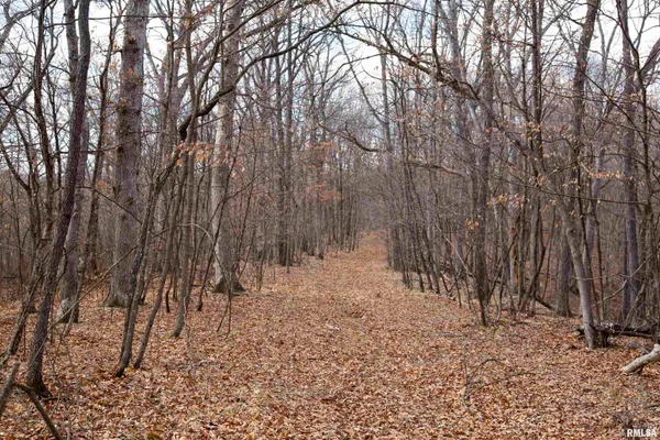 $895,000 | 17217 North Dairy Farm Road, Smithfield, IL 61477