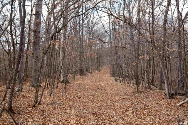 $895,000 | 17217 North Dairy Farm Road, Smithfield, IL 61477