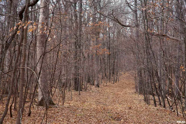 $895,000 | 17217 North Dairy Farm Road, Smithfield, IL 61477