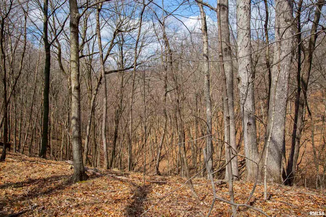 $895,000 | 17217 North Dairy Farm Road, Smithfield, IL 61477