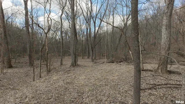 $895,000 | 17217 North Dairy Farm Road, Smithfield, IL 61477