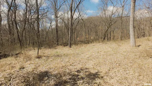 $895,000 | 17217 North Dairy Farm Road, Smithfield, IL 61477