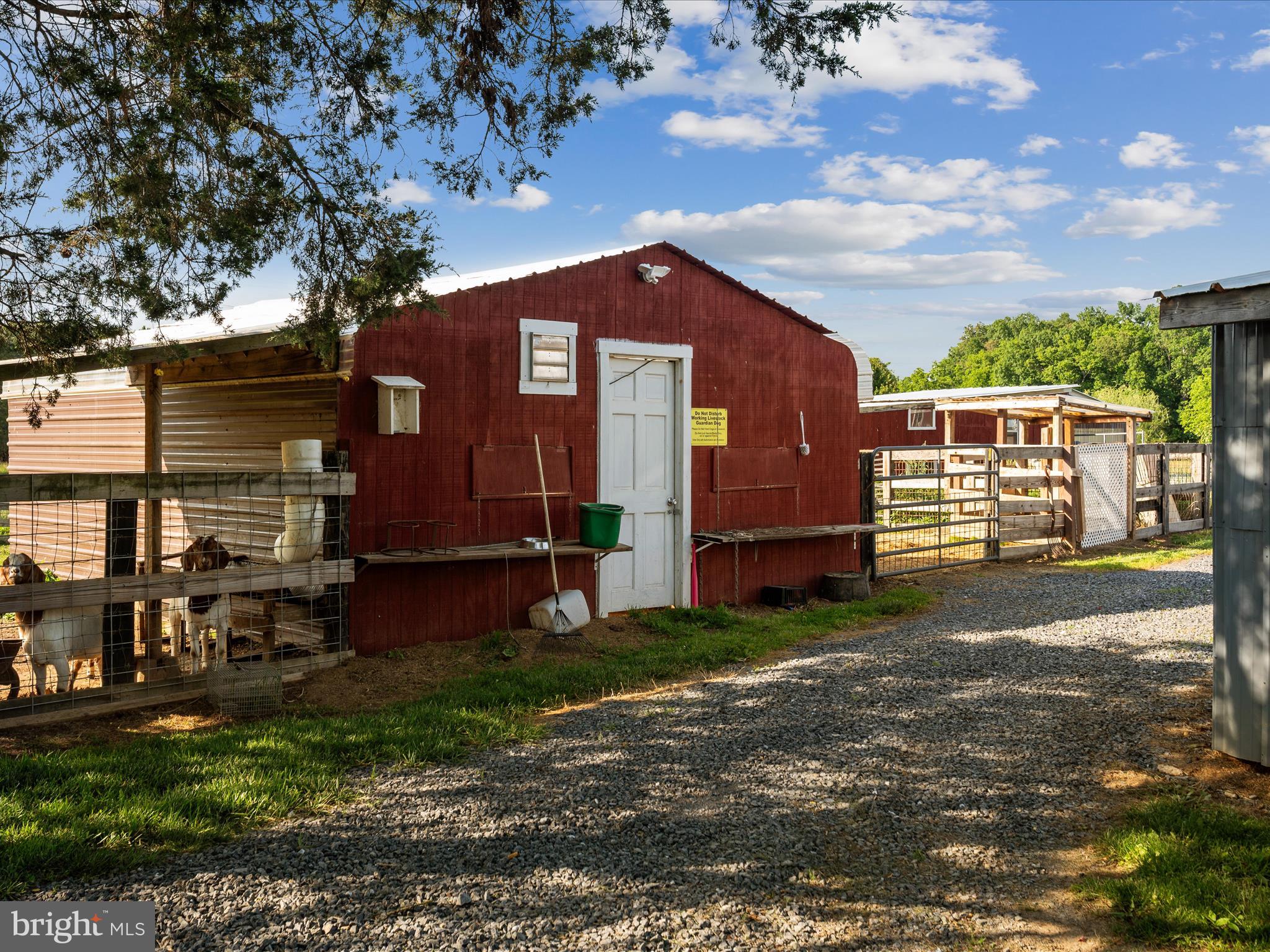 373 Thunder Hill Drive Summit Point, WV 25446 - Photo 67 of 115 Shed