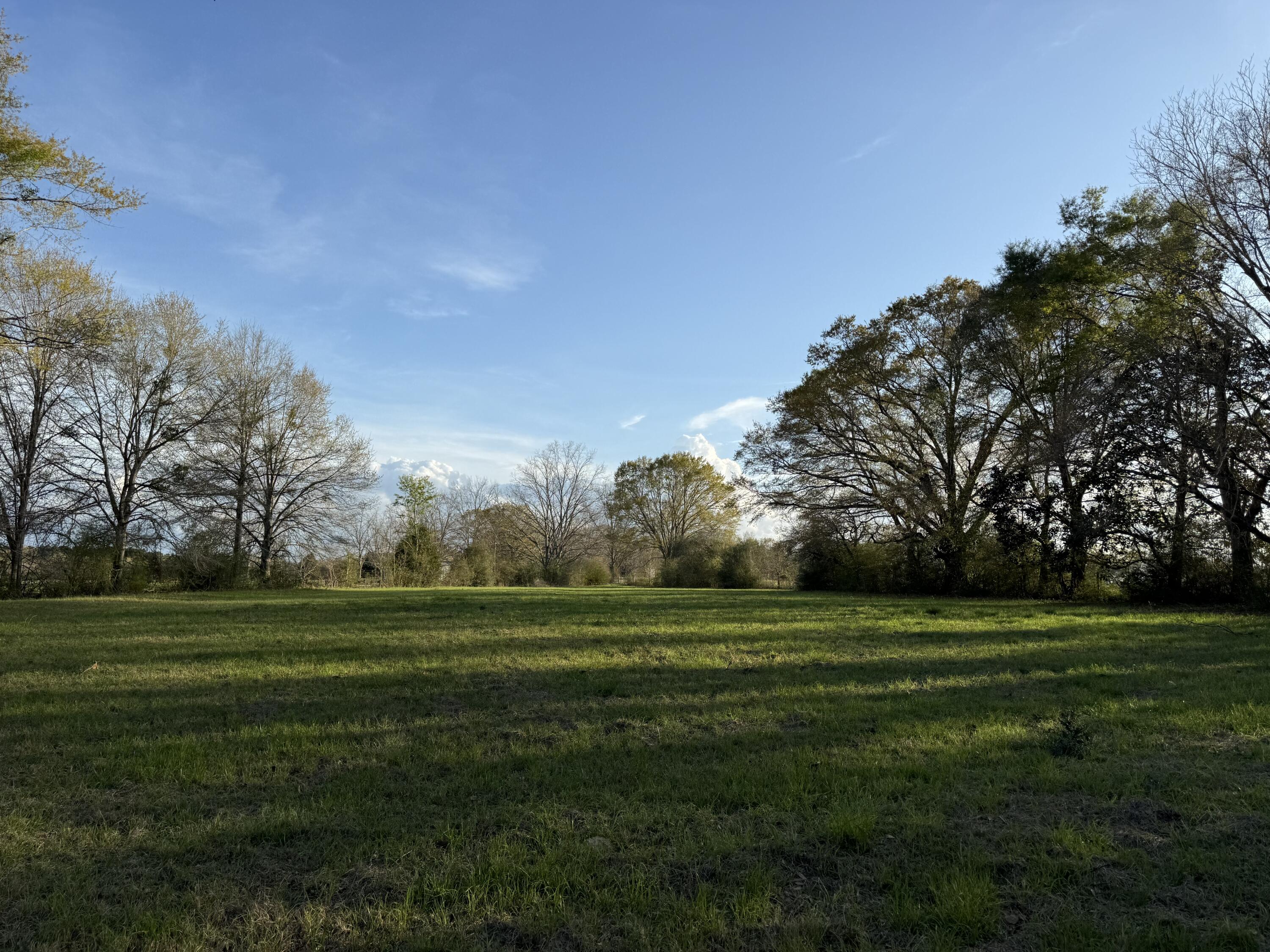 1716 Hub Presley Road Laurel Hill, FL 32567 - Photo 11 of 43 a grassy field with trees in the background