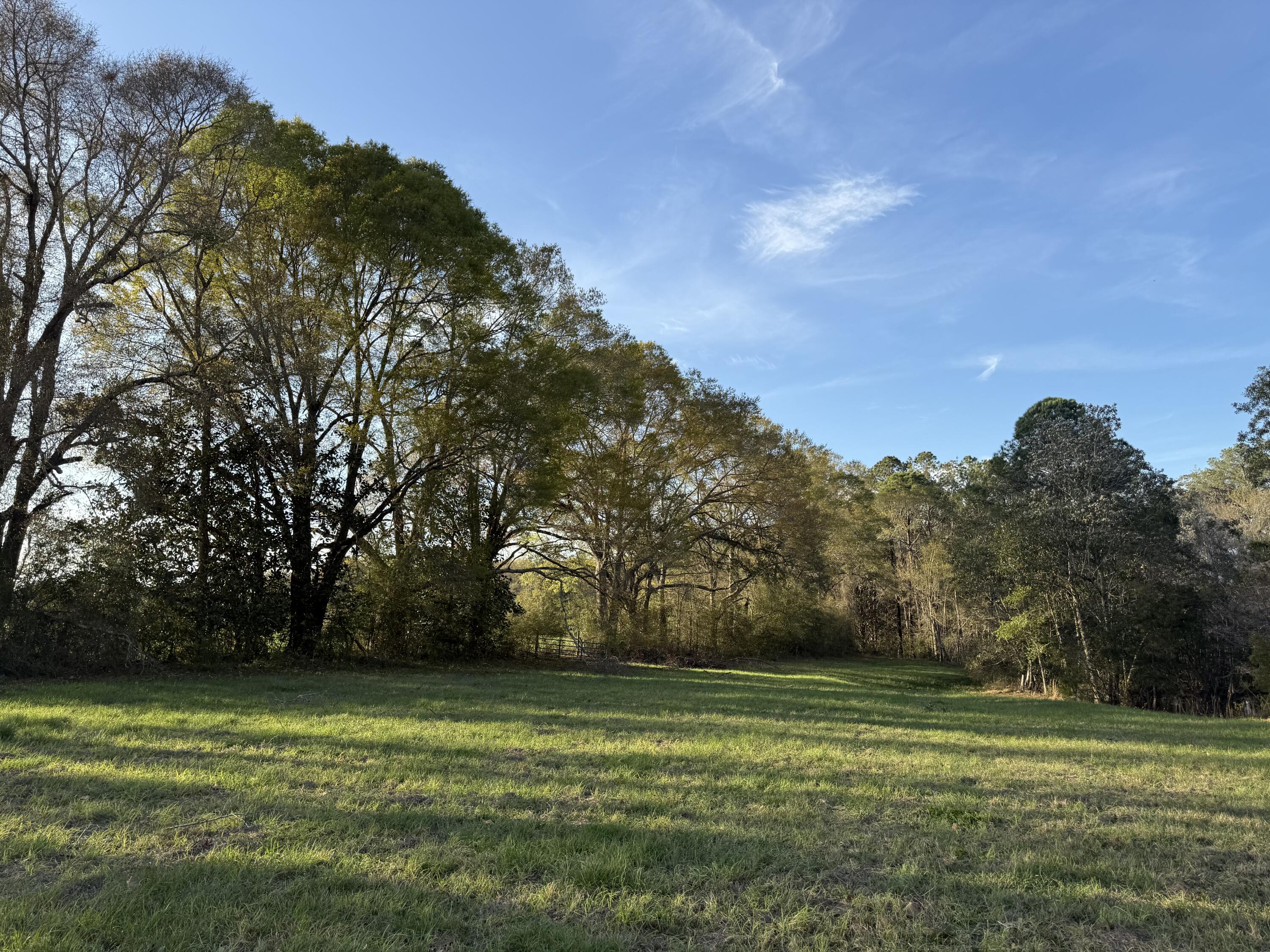 1716 Hub Presley Road Laurel Hill, FL 32567 - Photo 15 of 43 a view of a field with a trees