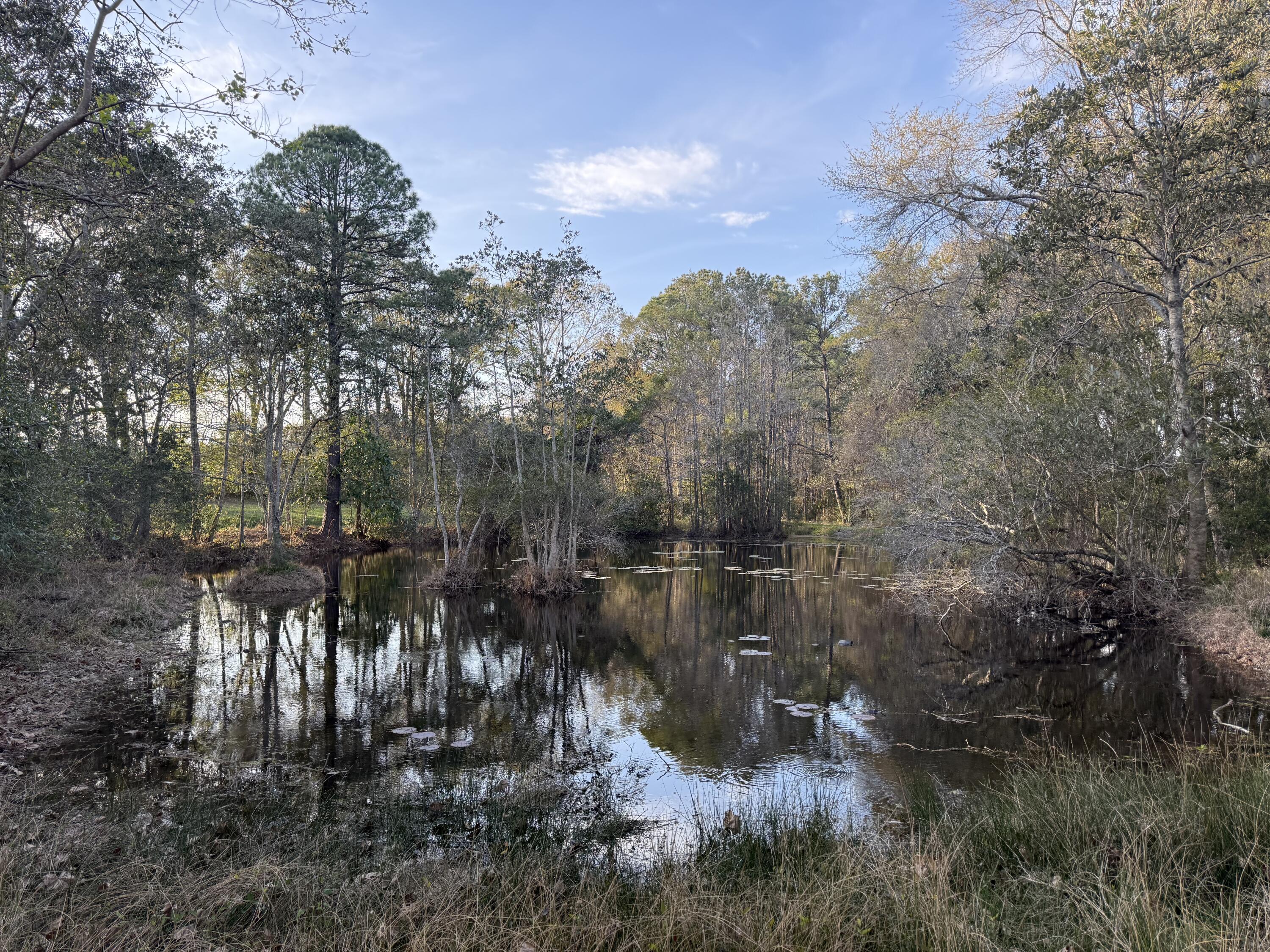 1716 Hub Presley Road Laurel Hill, FL 32567 - Photo 17 of 43 a view of a yard of a house