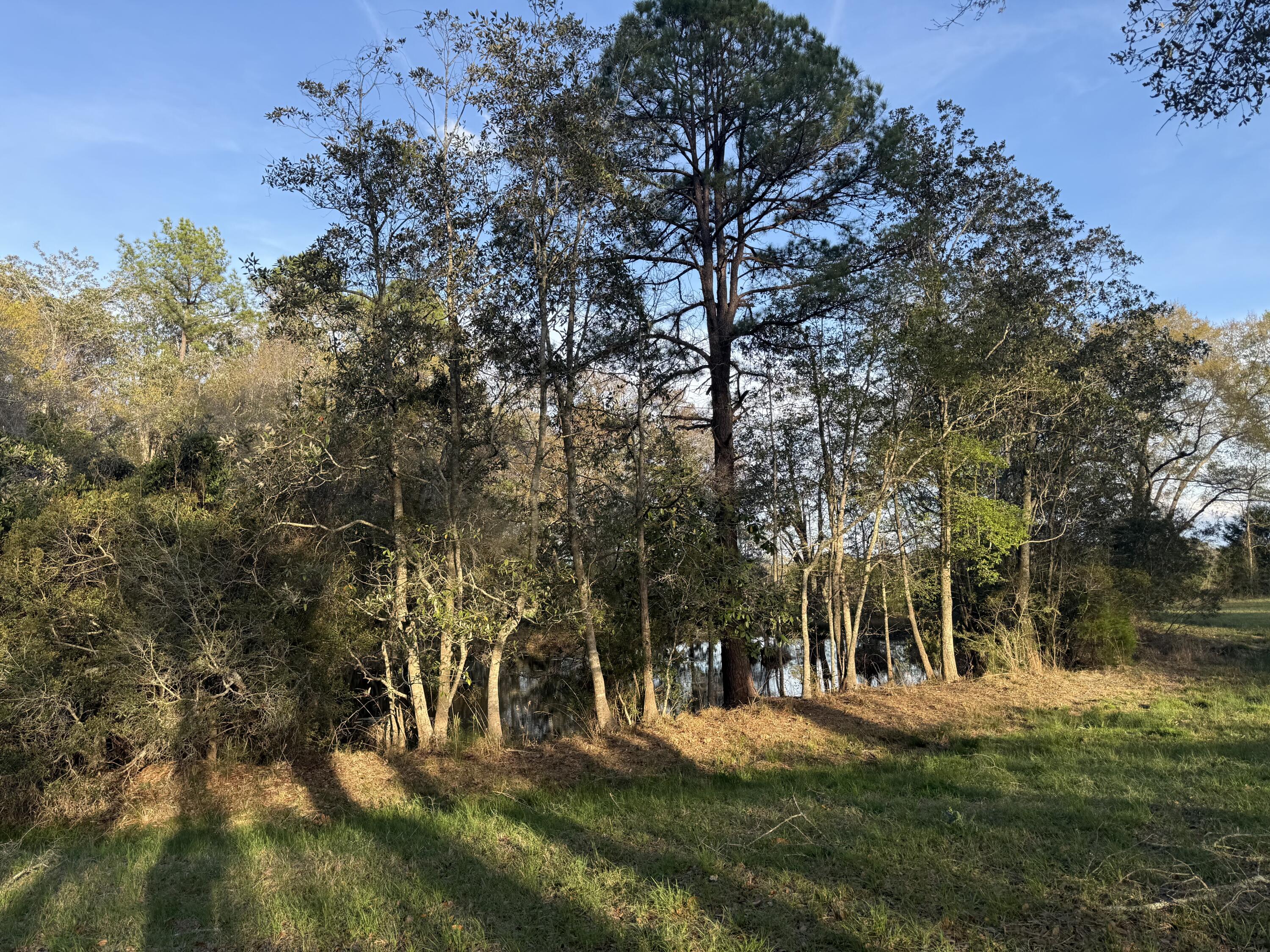 1716 Hub Presley Road Laurel Hill, FL 32567 - Photo 18 of 43 a view of a park with large trees