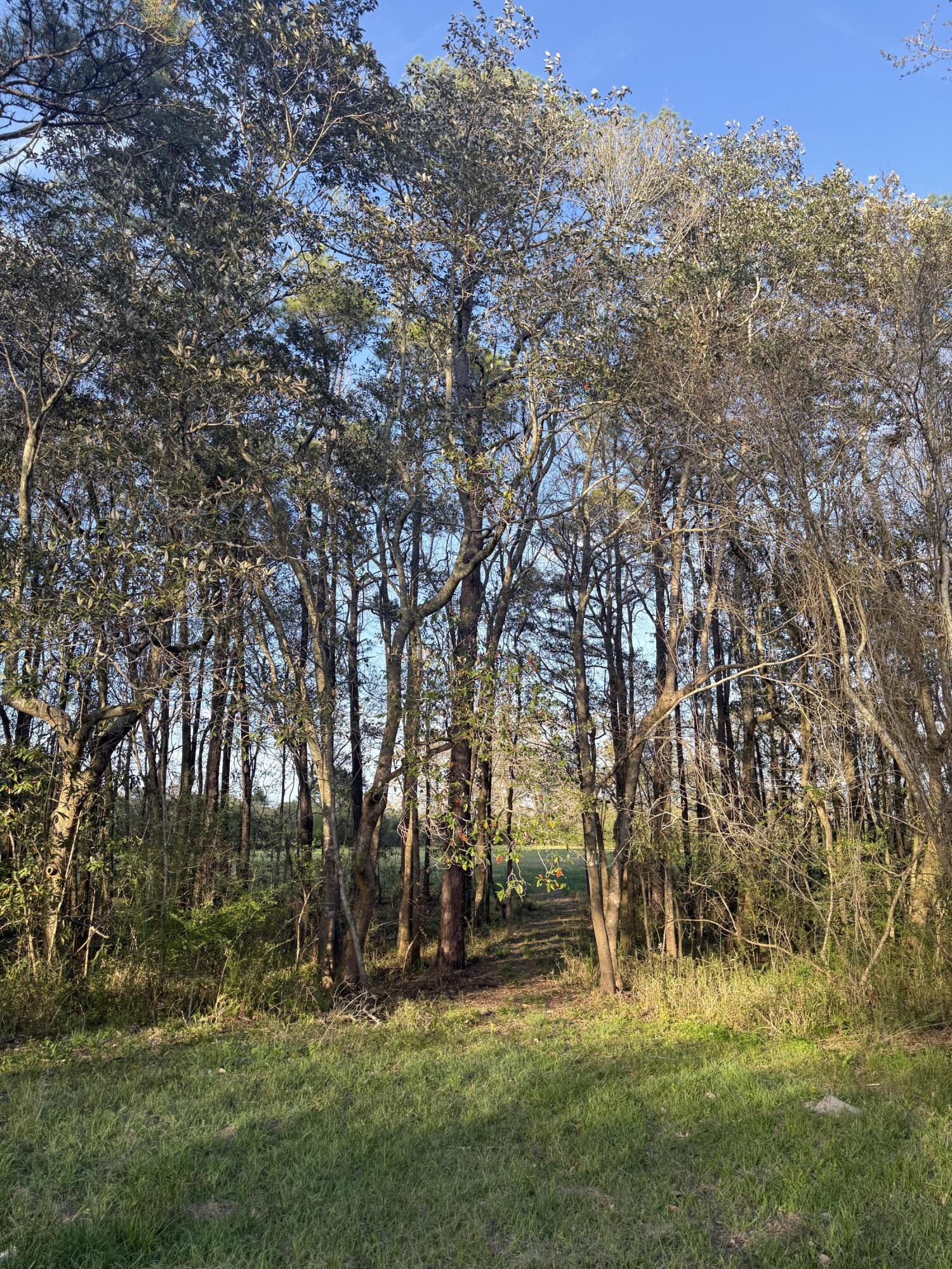 1716 Hub Presley Road Laurel Hill, FL 32567 - Photo 21 of 43 a view of outdoor space with trees all around