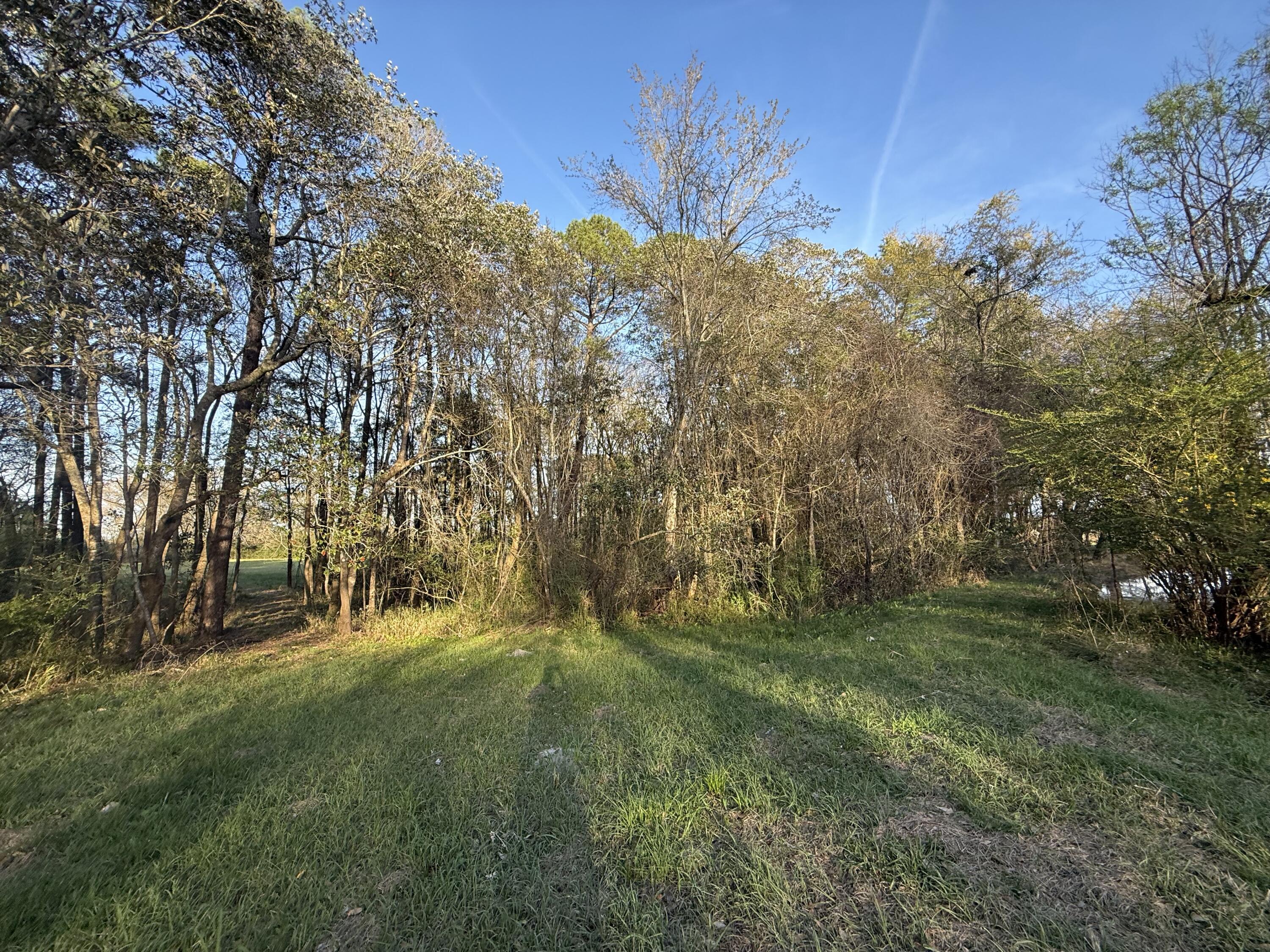 1716 Hub Presley Road Laurel Hill, FL 32567 - Photo 22 of 43 a big yard with lots of green space and trees