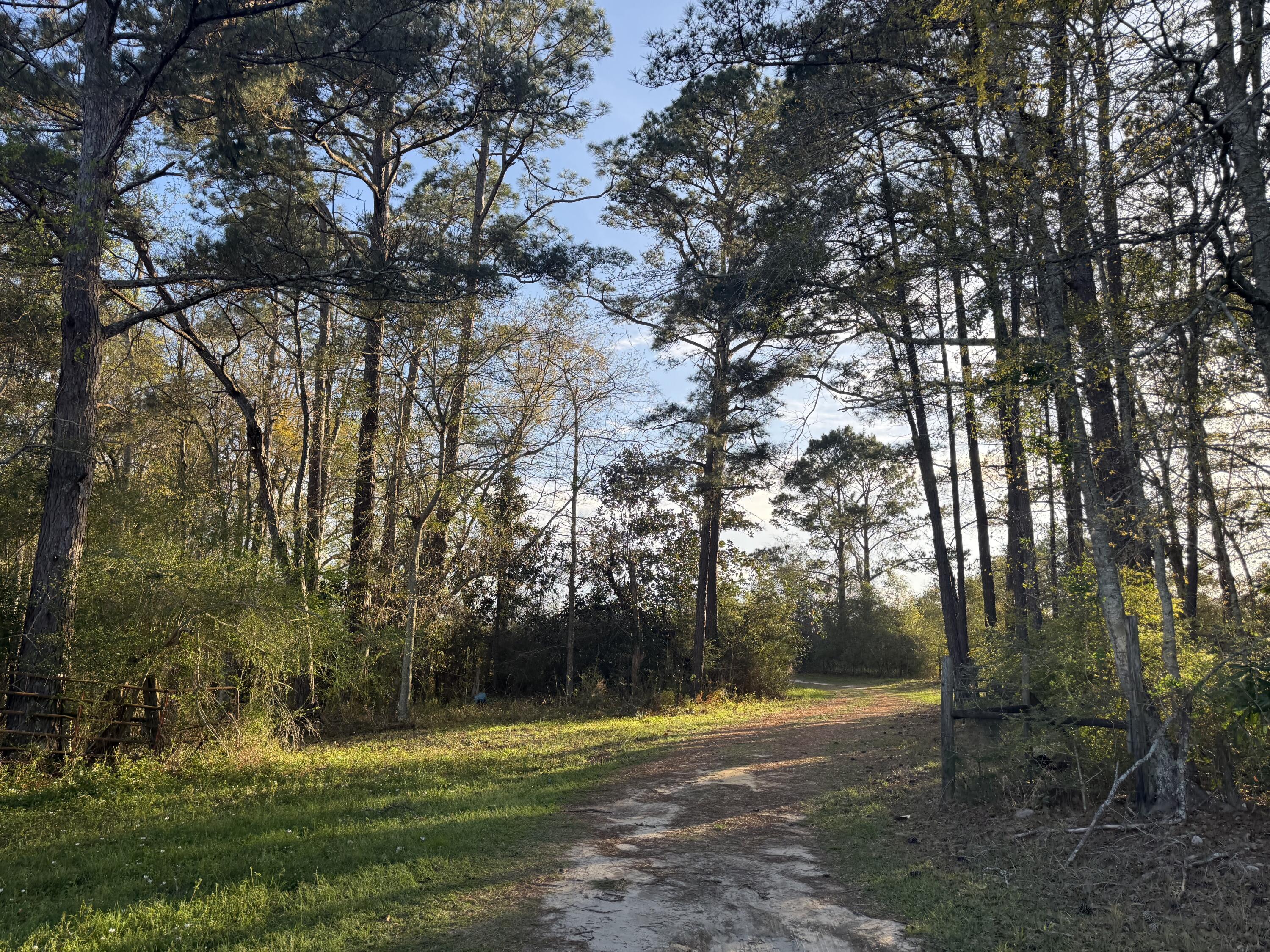 1716 Hub Presley Road Laurel Hill, FL 32567 - Photo 26 of 43 a view of a park