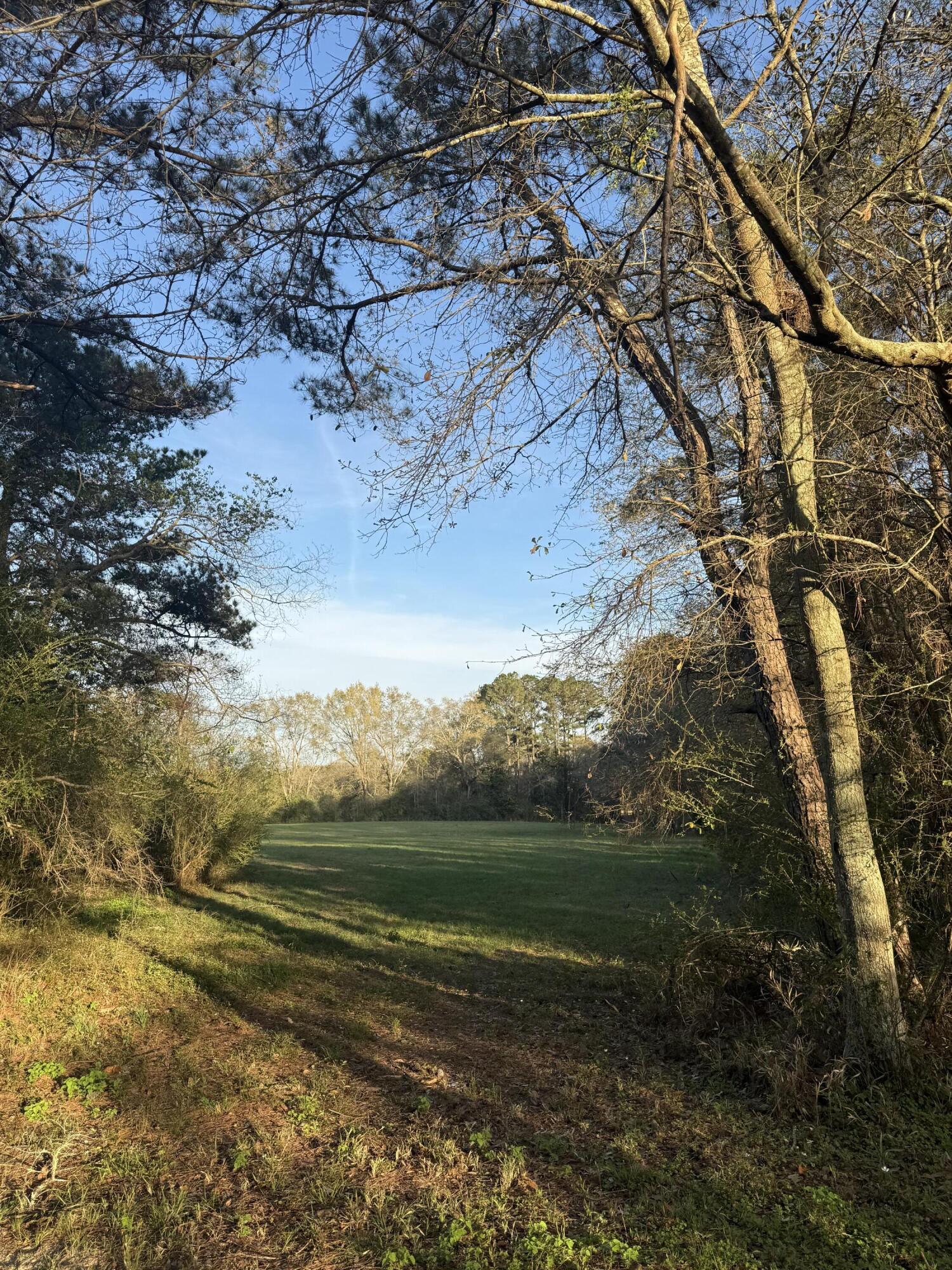 1716 Hub Presley Road Laurel Hill, FL 32567 - Photo 28 of 43 a view of a golf course with a lake