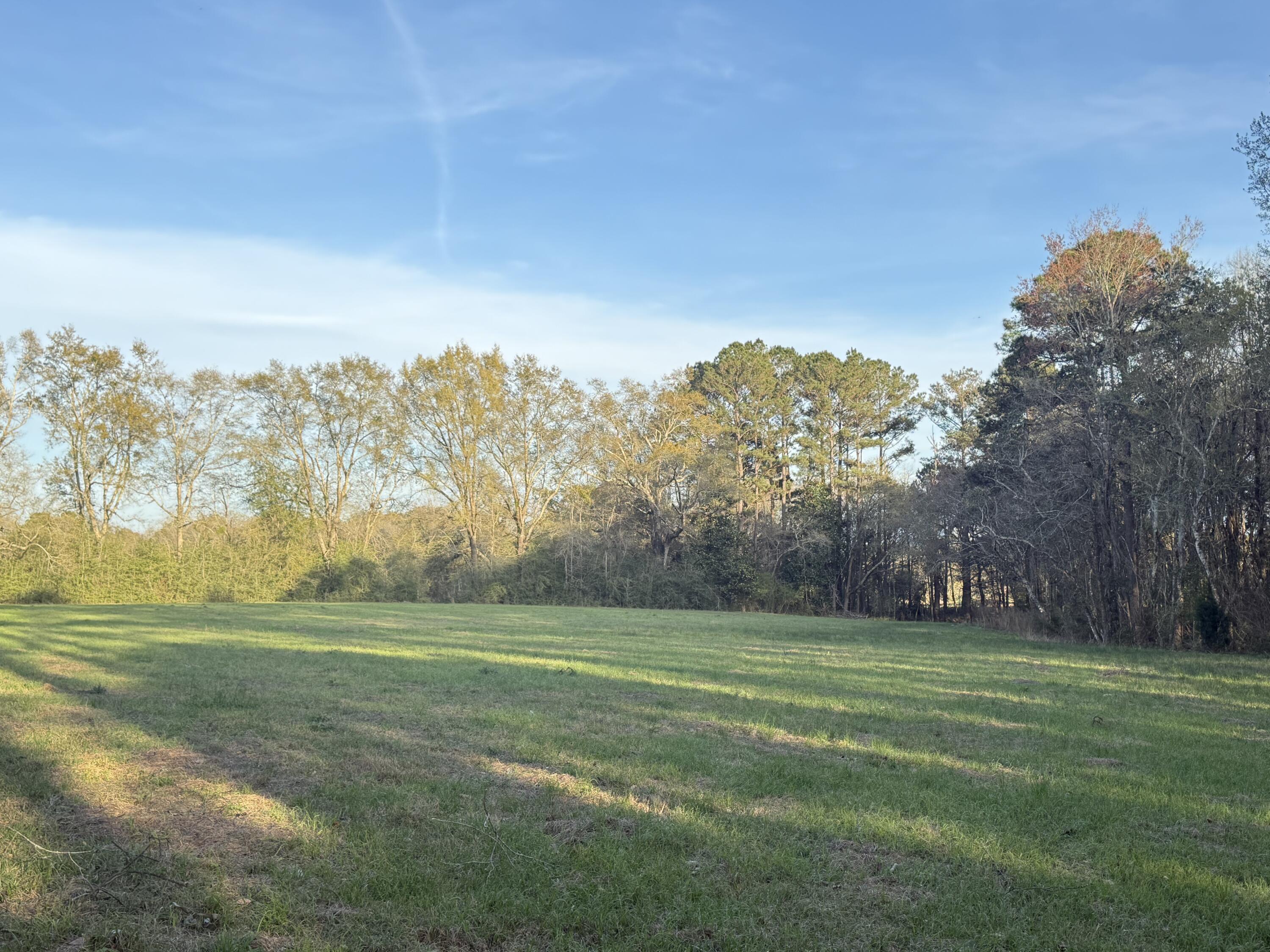 1716 Hub Presley Road Laurel Hill, FL 32567 - Photo 29 of 43 a view of a field with an trees